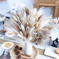 95 PCS Natural Pampas Grass Decor Bouquet | Boho Dried Floral Arrangement Centerpiece Table Decor Wedding Decor Rustic Decor, Natural, white, beige (Fdm-b-01)