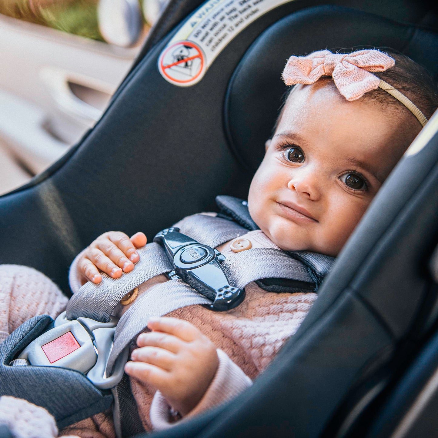 Chicco KeyFit® Max ClearTex® Infant Car Seat and Base, Rear-Facing Seat for Infants 4-30 lbs., Infant Head and Body Support, Compatible with Chicco Strollers, Baby Travel Gear | Lupine/Purple